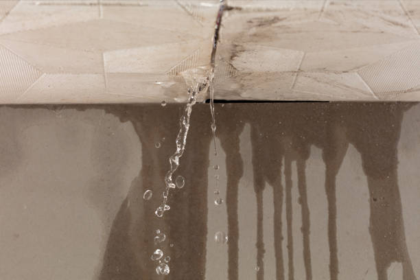Professional Structural Drying technician working in Republic, OH